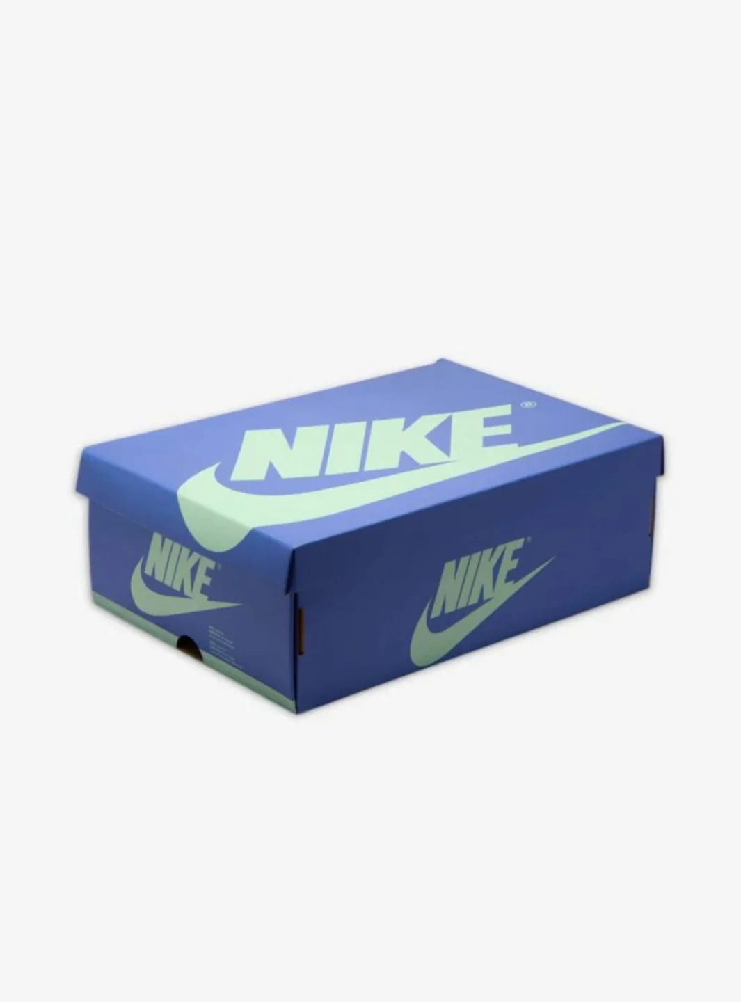 Air Jordan 1 Retro Low OG Zion Williamson Voodoo Alternate (GS) - Image 9