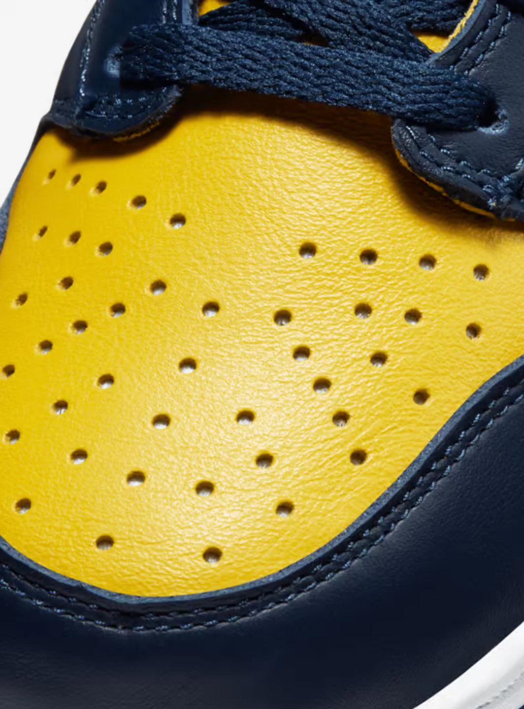 Nike Dunk High Michigan (2020) - Image 3
