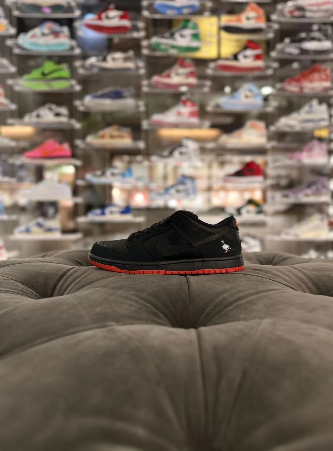 Nike SB Dunk Low Black Pigeon - Usato 9.5/10