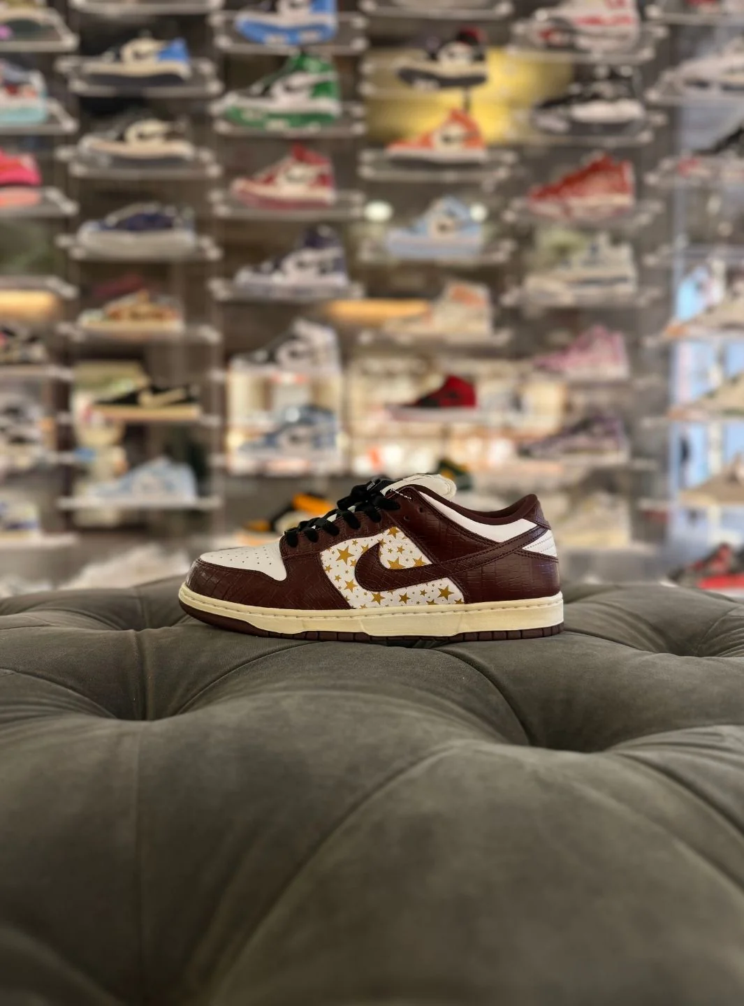 Nike SB Dunk Low Supreme Stars Barkroot Brown (2021) - Usato 10/10